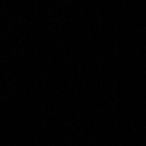 Meet your Posher, Evelyn